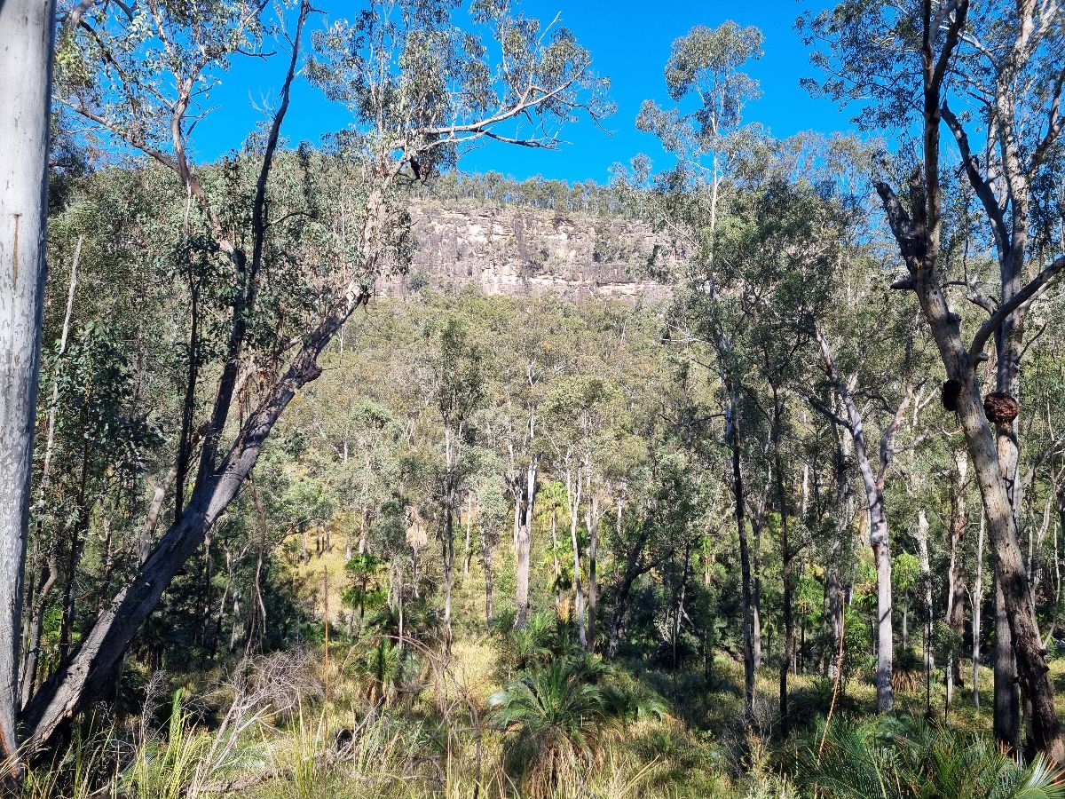 On the way to Carnarvon Gorge