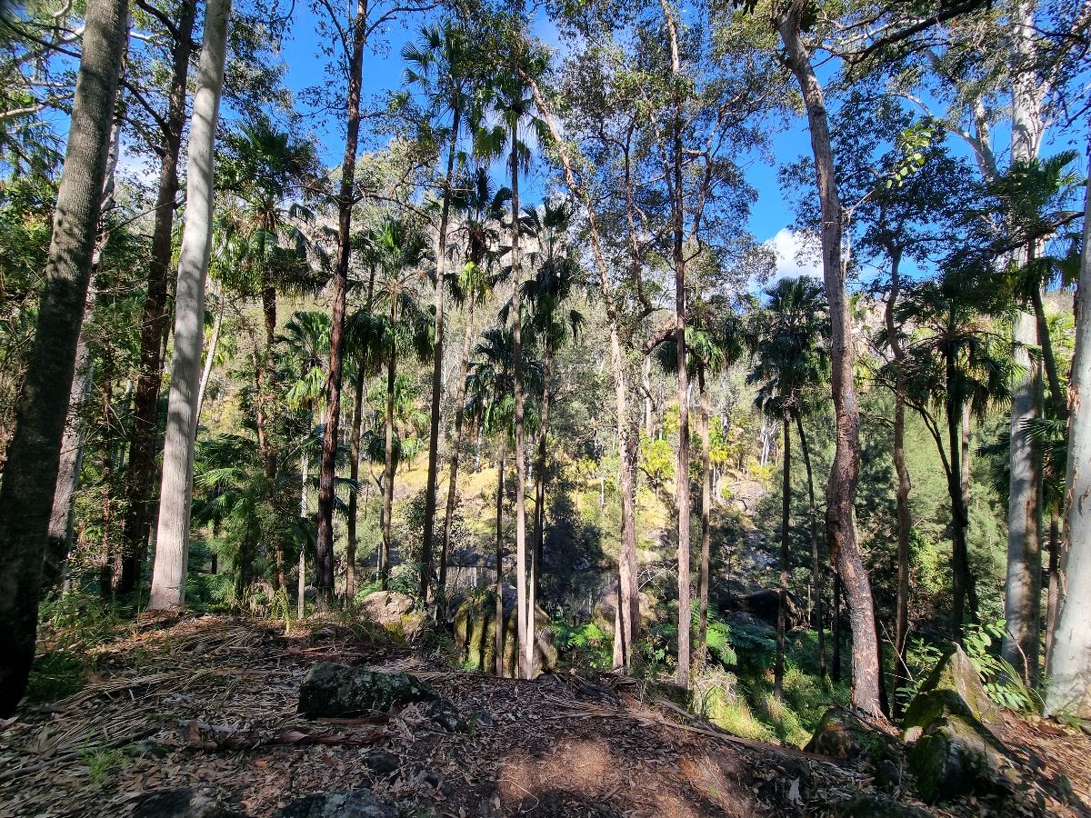 Hiking through the Gorge