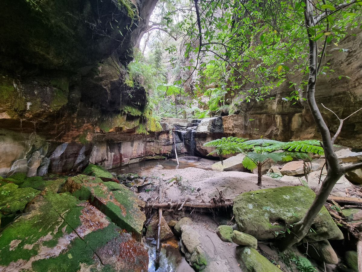 Hiking through the Gorge