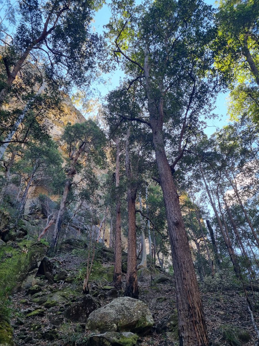 Spectacular scenery