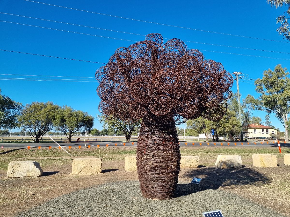 Amazing sculptures - Roma is famous for its large Bottle Trees