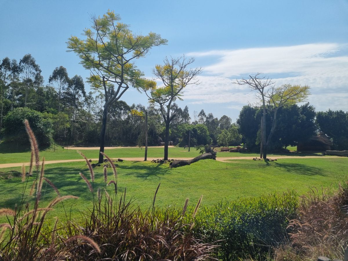 A day at Australia Zoo