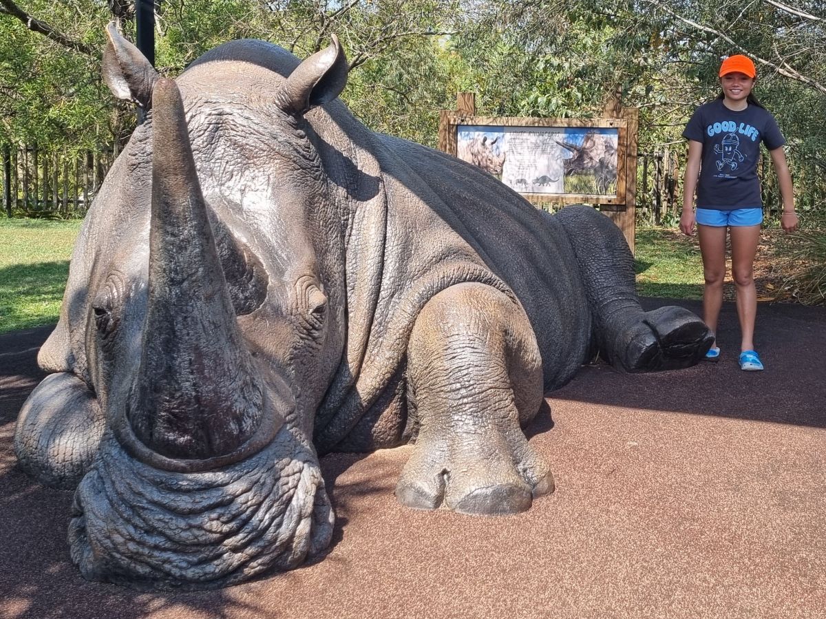 A day at Australia Zoo