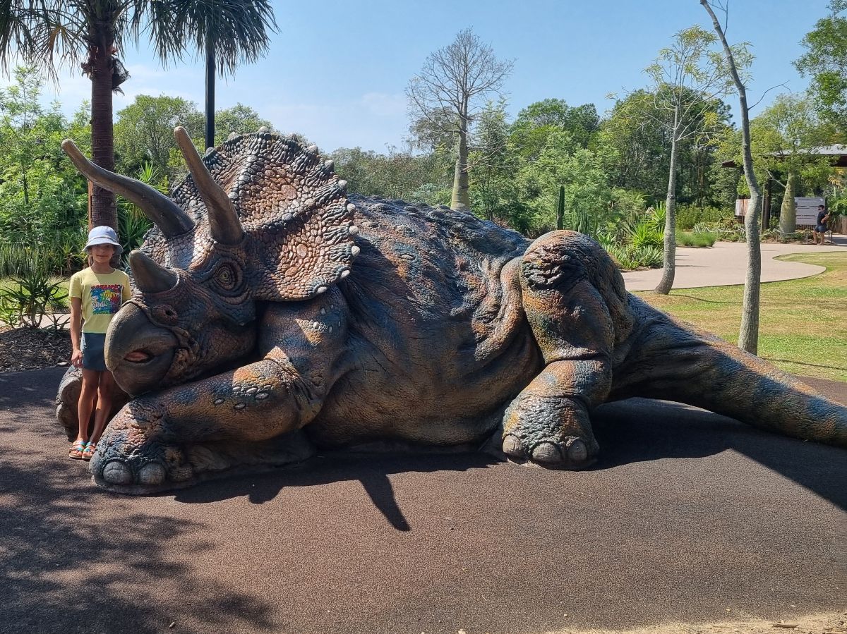 A day at Australia Zoo