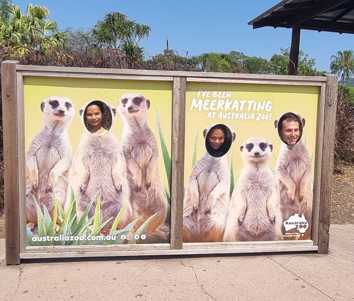 A day at Australia Zoo