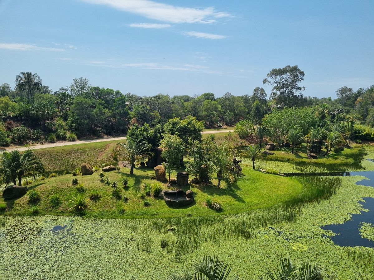 A day at Australia Zoo