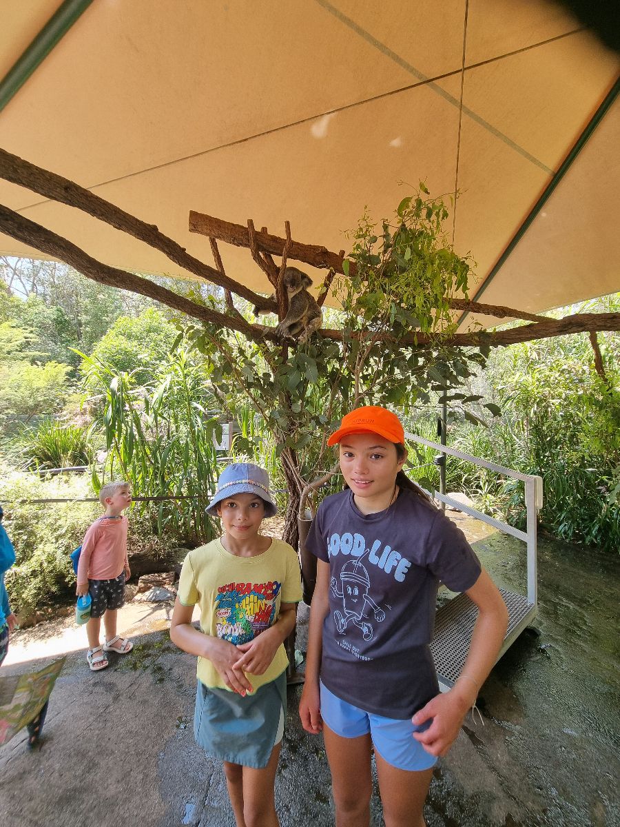 A day at Australia Zoo
