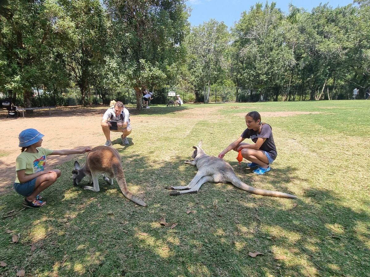 A day at Australia Zoo
