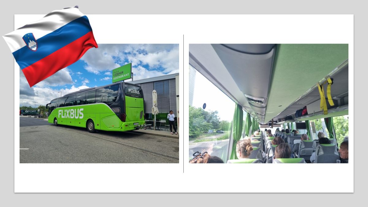 By bus...