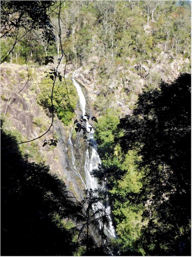 A trip to the Kondalilla Falls provided some good hiking...