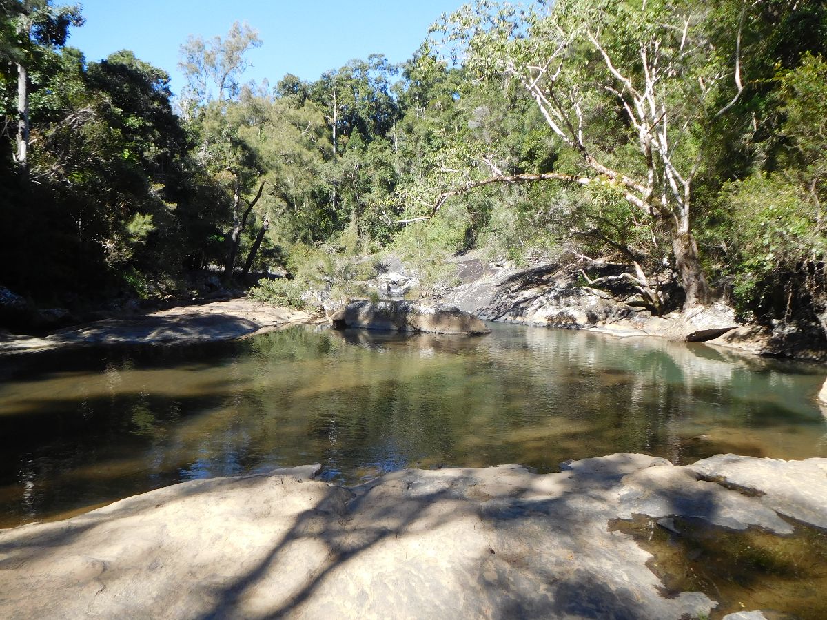 In the Eungella National Park