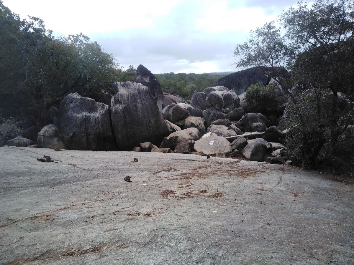 At the Granite Gorge National Park