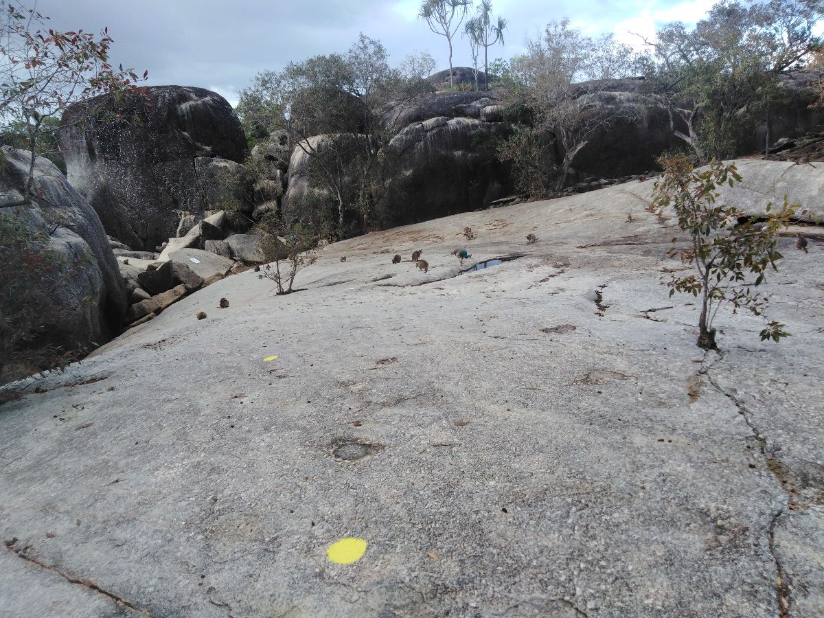 At the Granite Gorge National Park