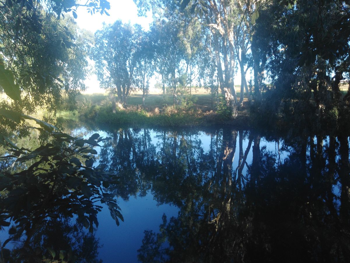 At the Granite Gorge National Park