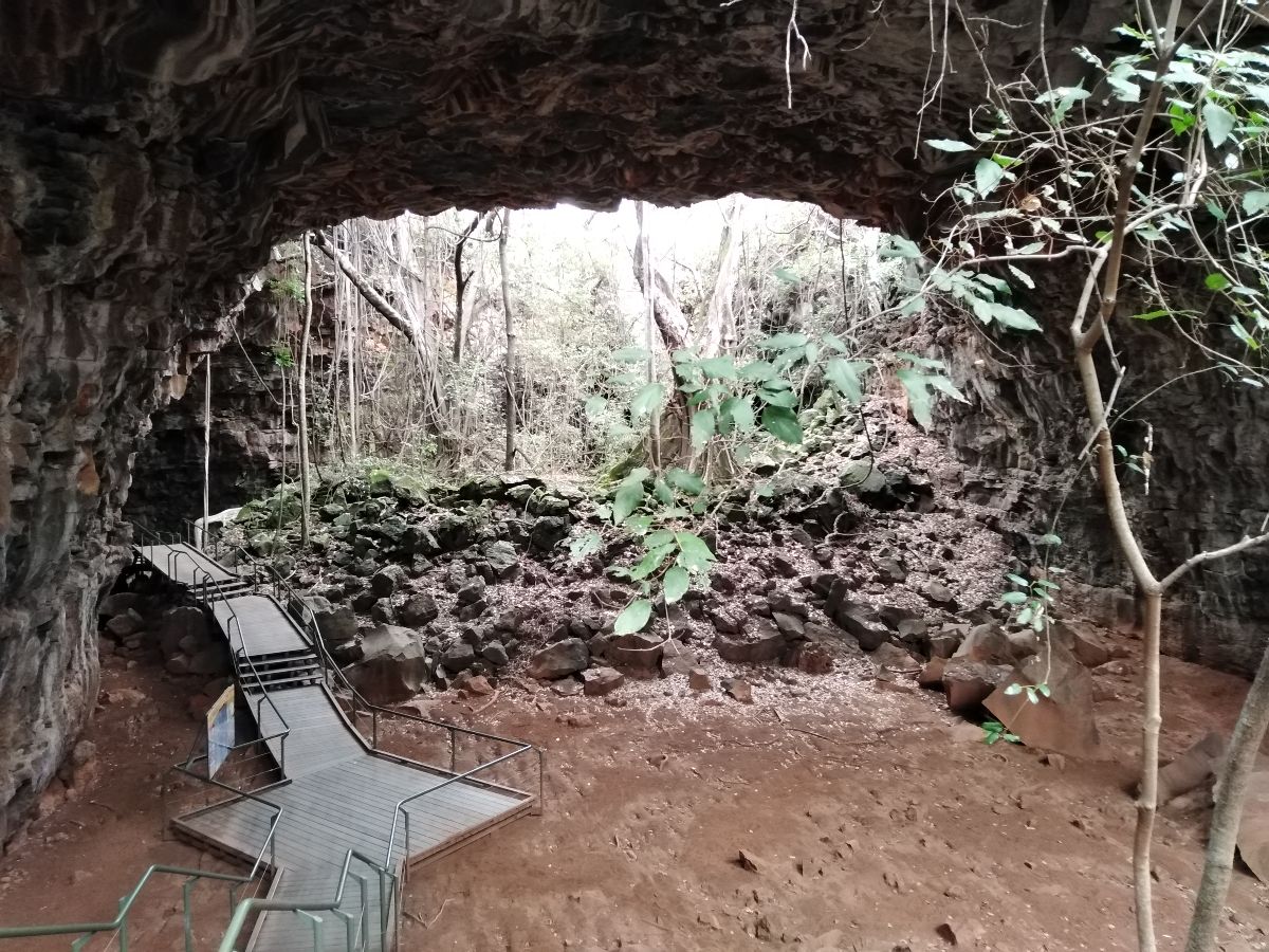 We took a guided tour of the Undarra Lava Tubes