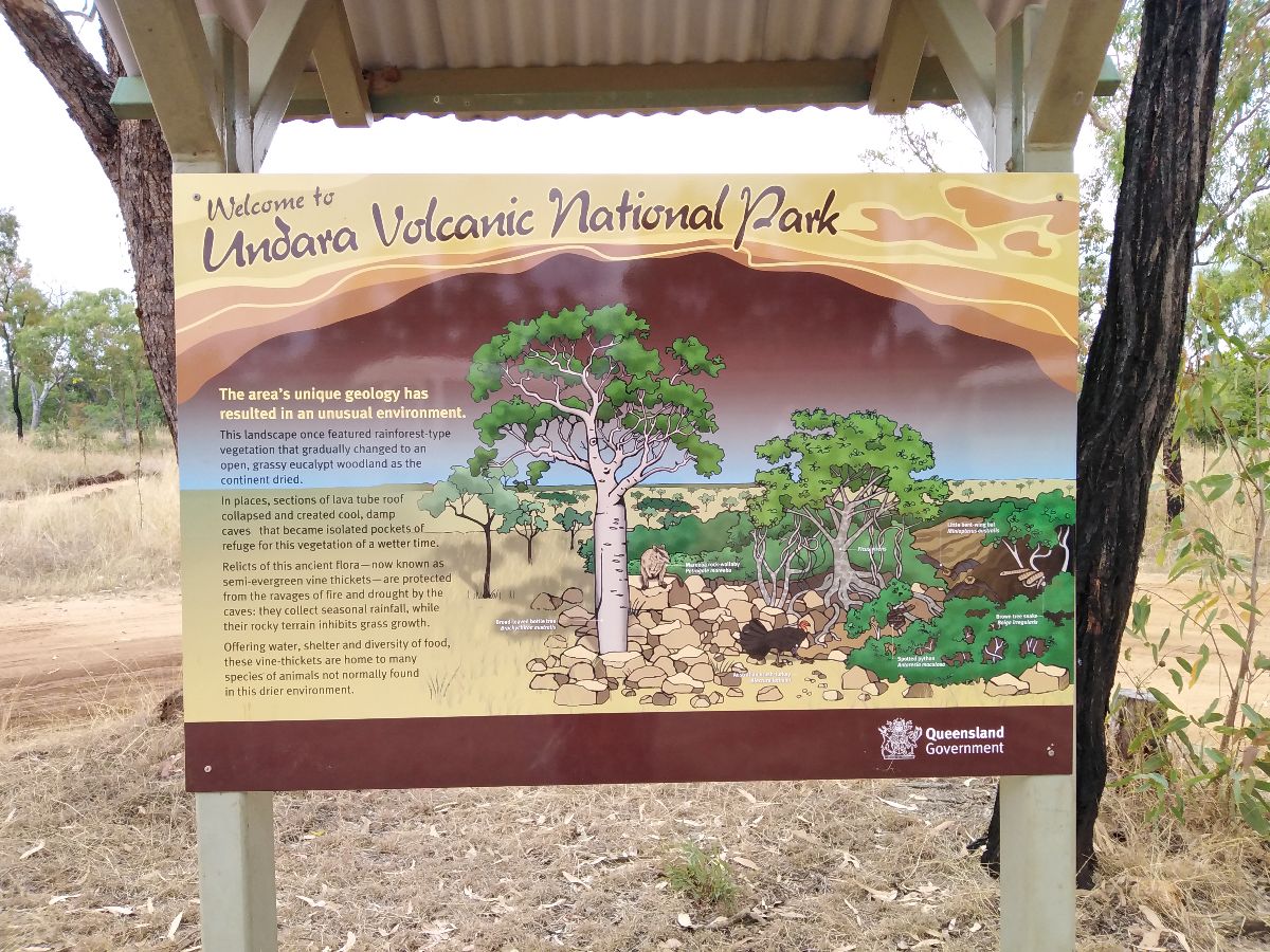 We took a guided tour of the Undarra Lava Tubes