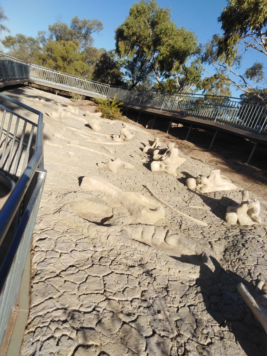 Dinosaur museum