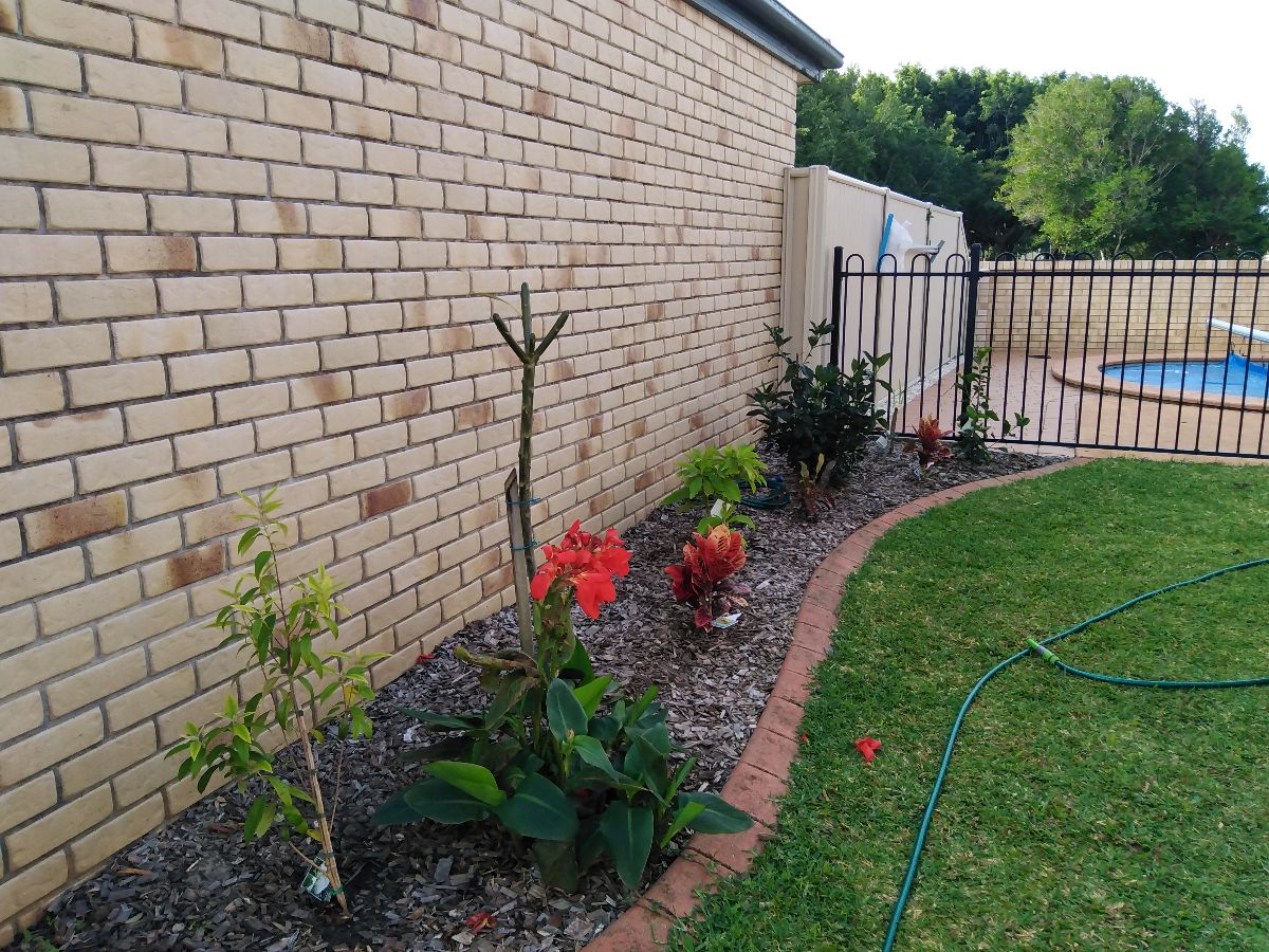 While we were at it, pruned some plants...