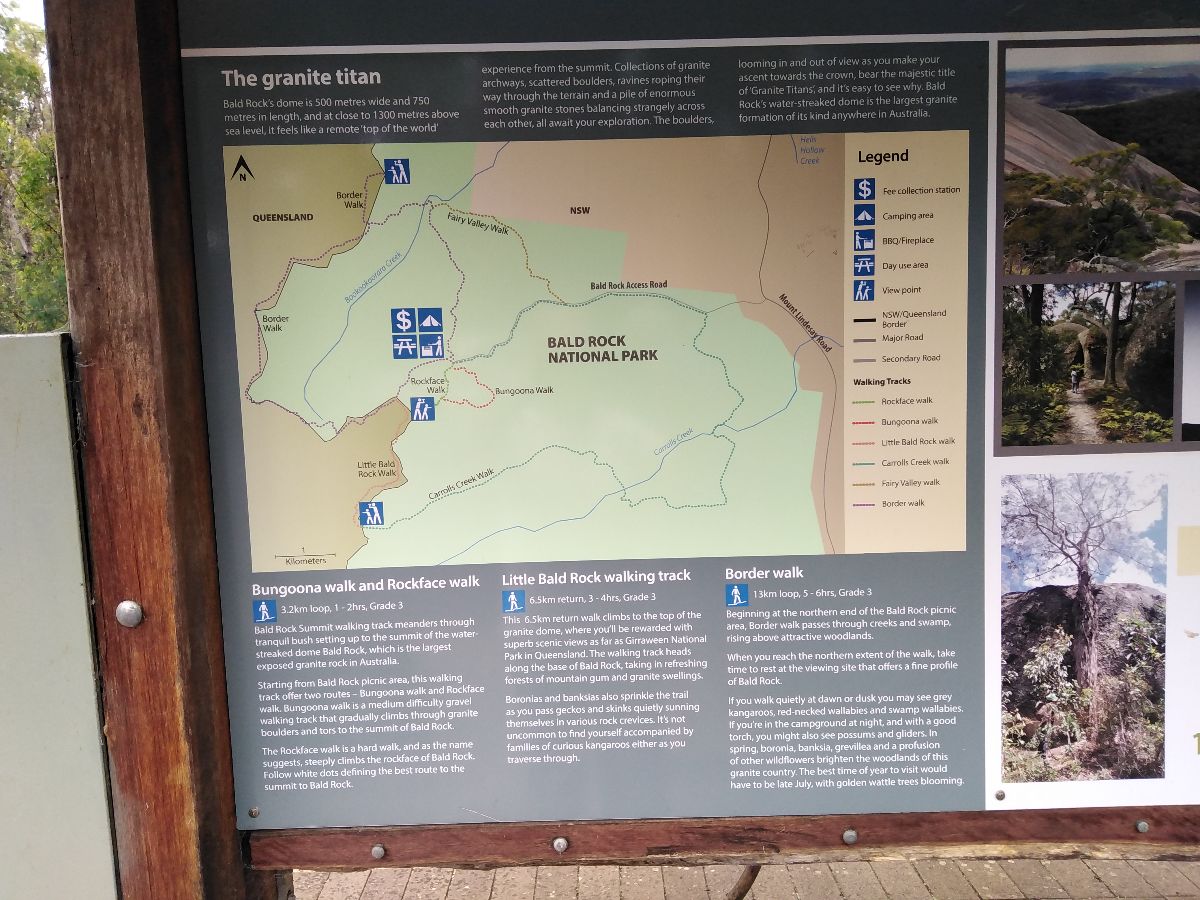 Bald Rock National Park