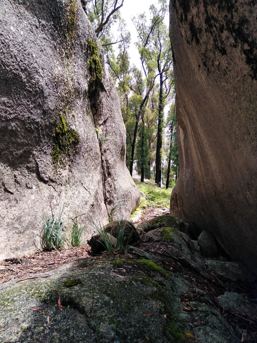 Hiking in Bald Rock NP