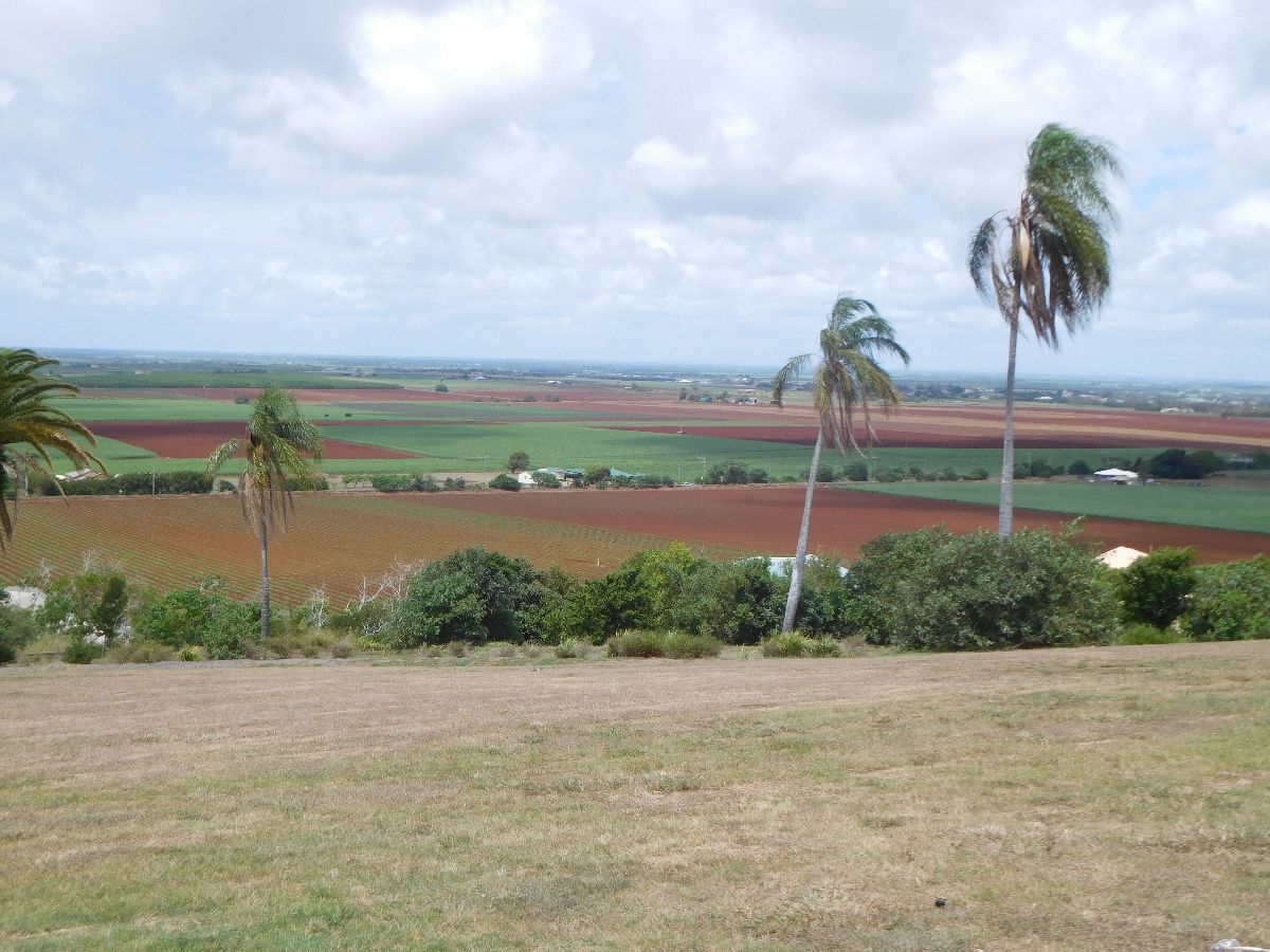 A trip to Bundaberg - sugar cane country