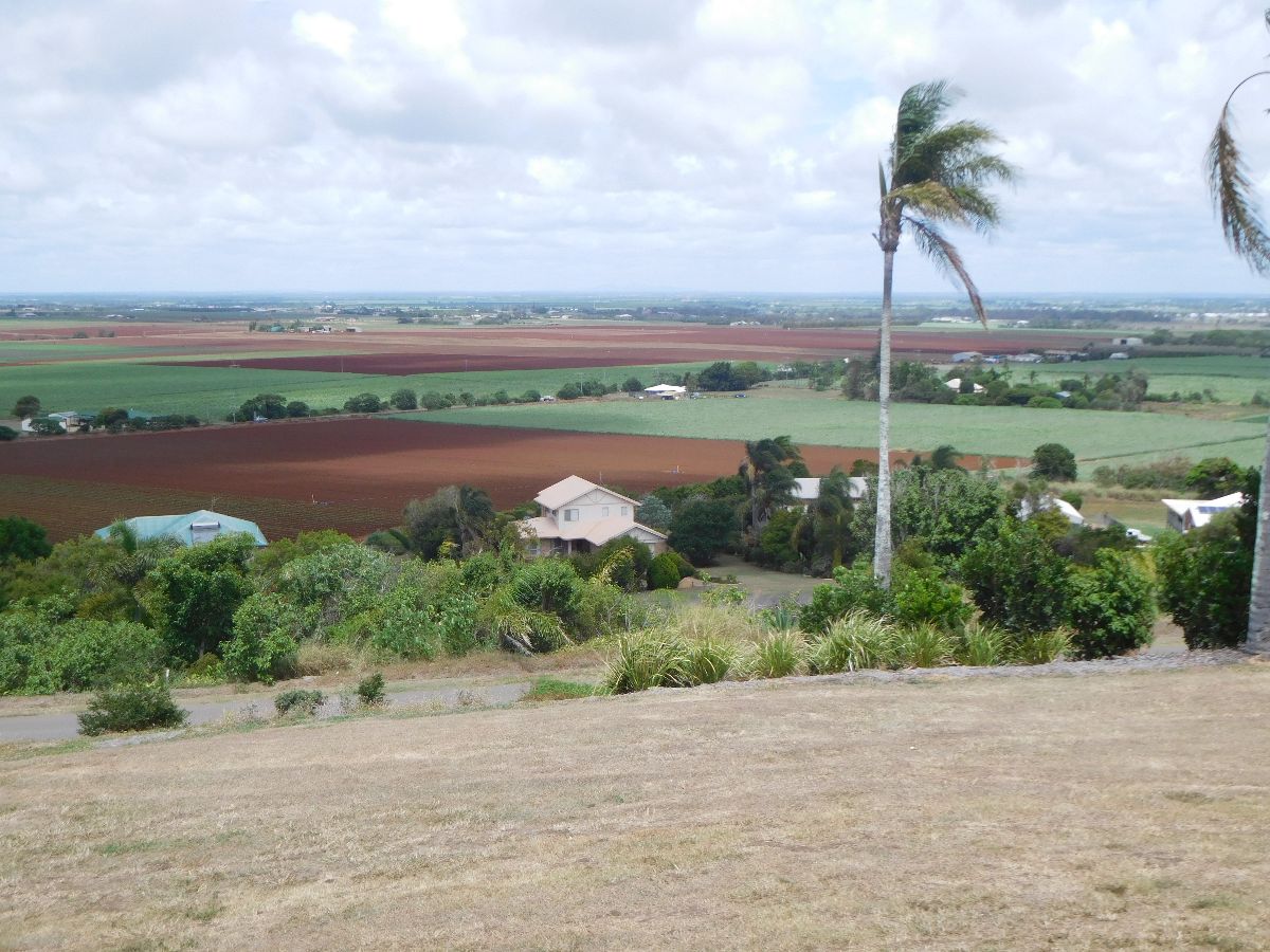 A trip to Bundaberg - sugar cane country
