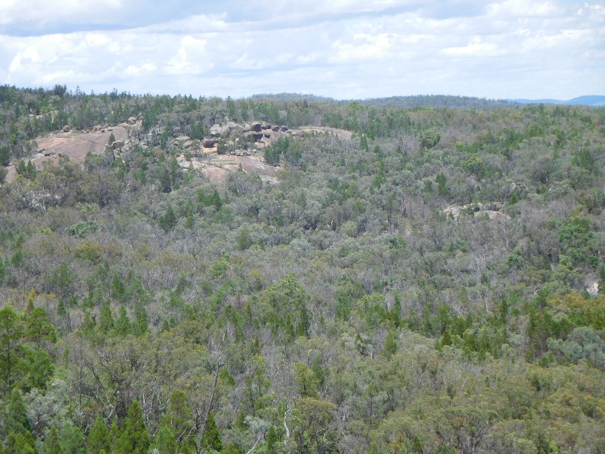 Foxbar Falls