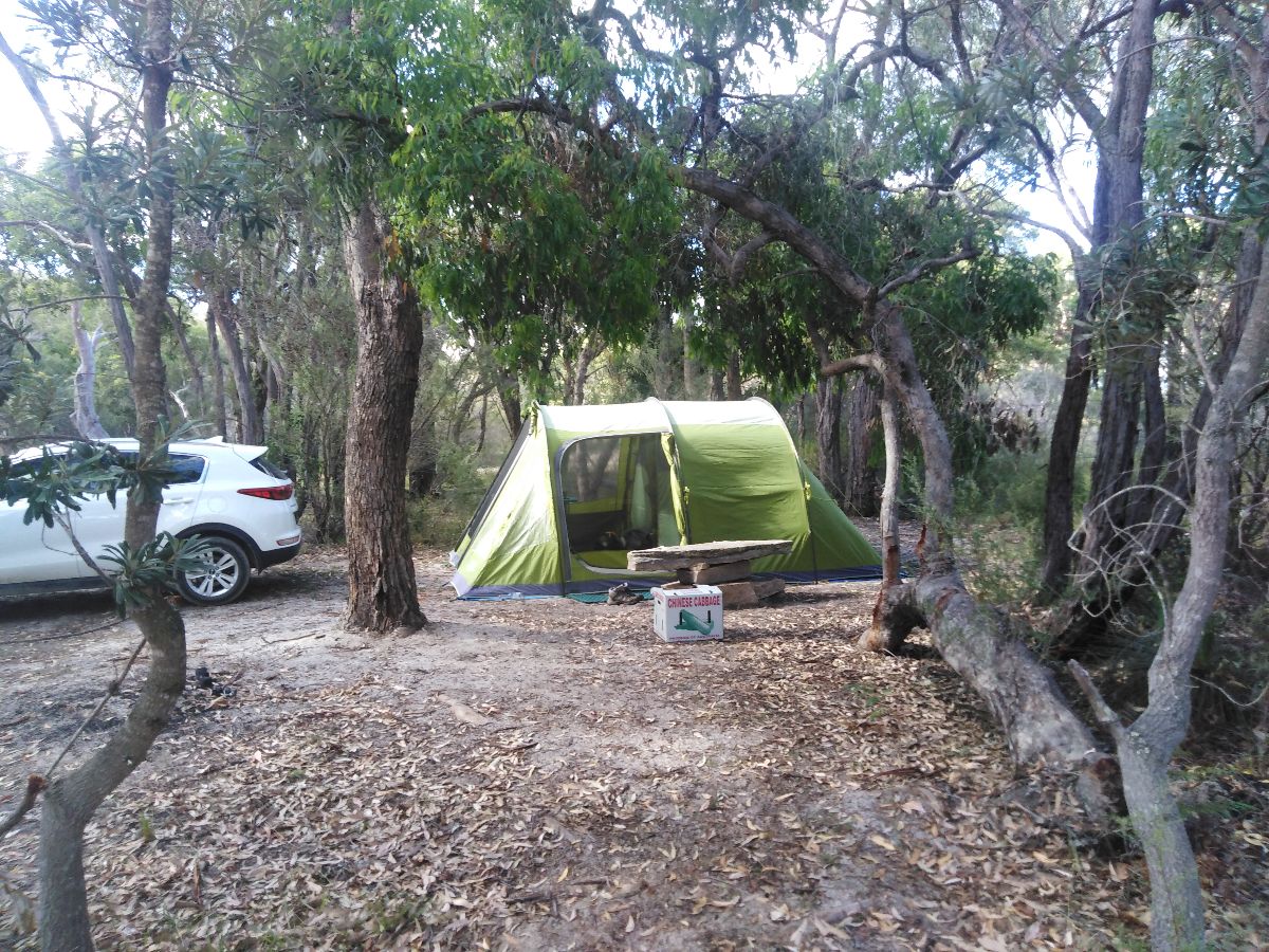 Our camp site at Foxbar Falls