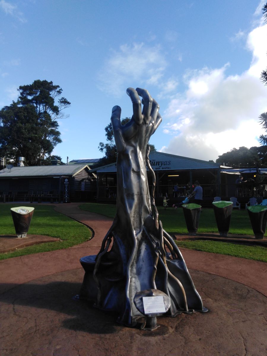 At the Bunya Mountains
