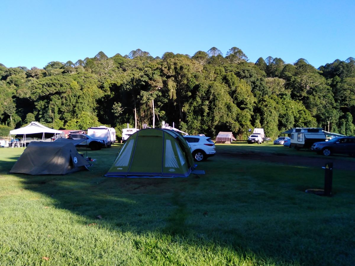 At the Bunya Mountains