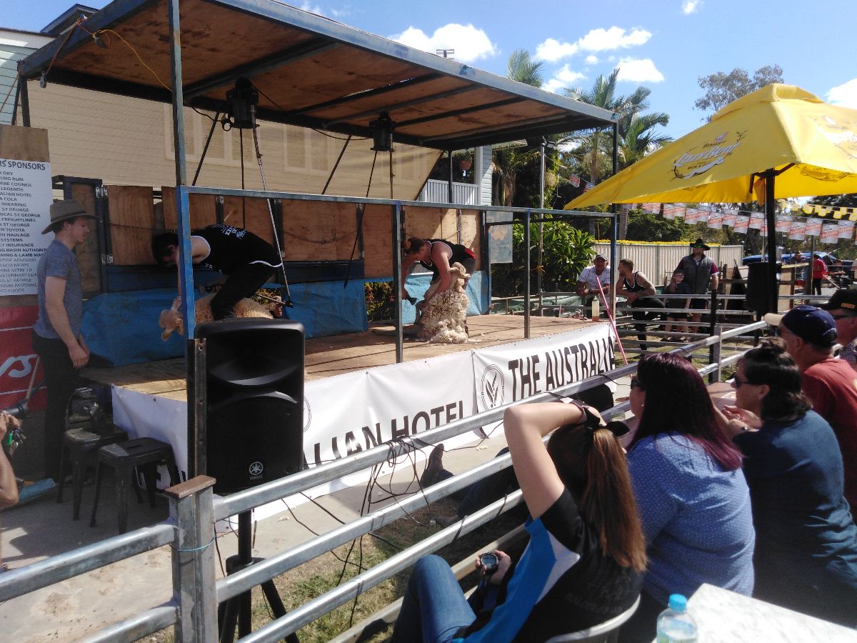 Shearing competition at the Australian Hotel, St George