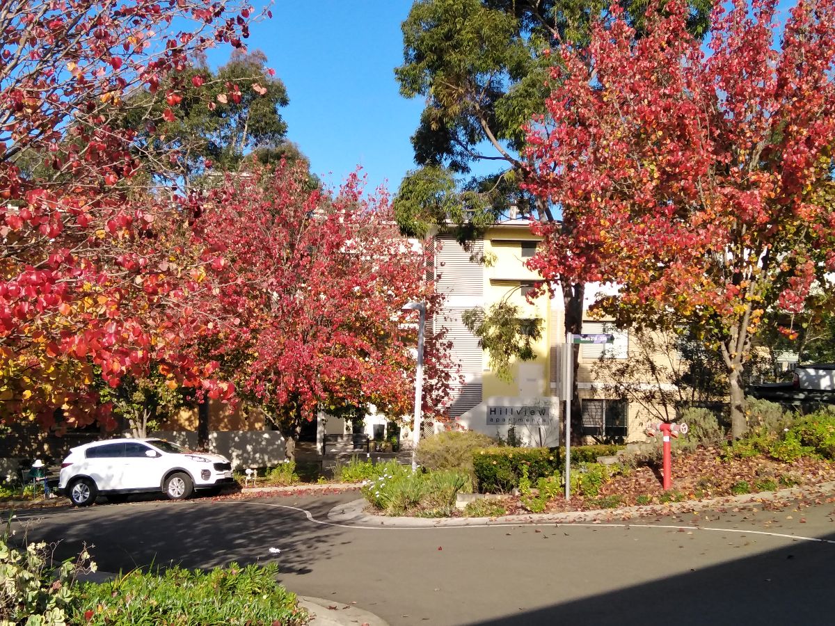 An apartment block called Hillview