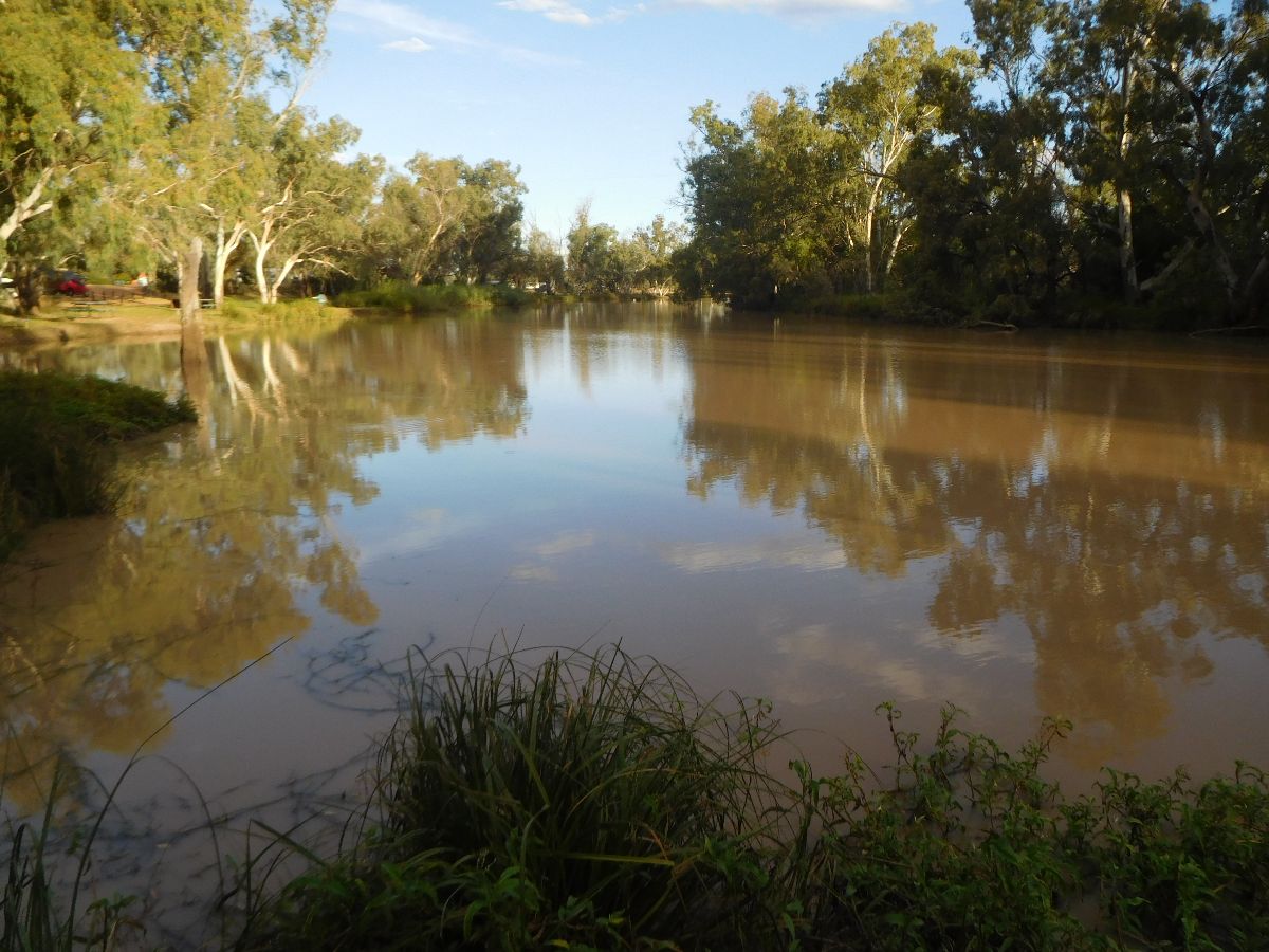 On the banks of the Moonie River