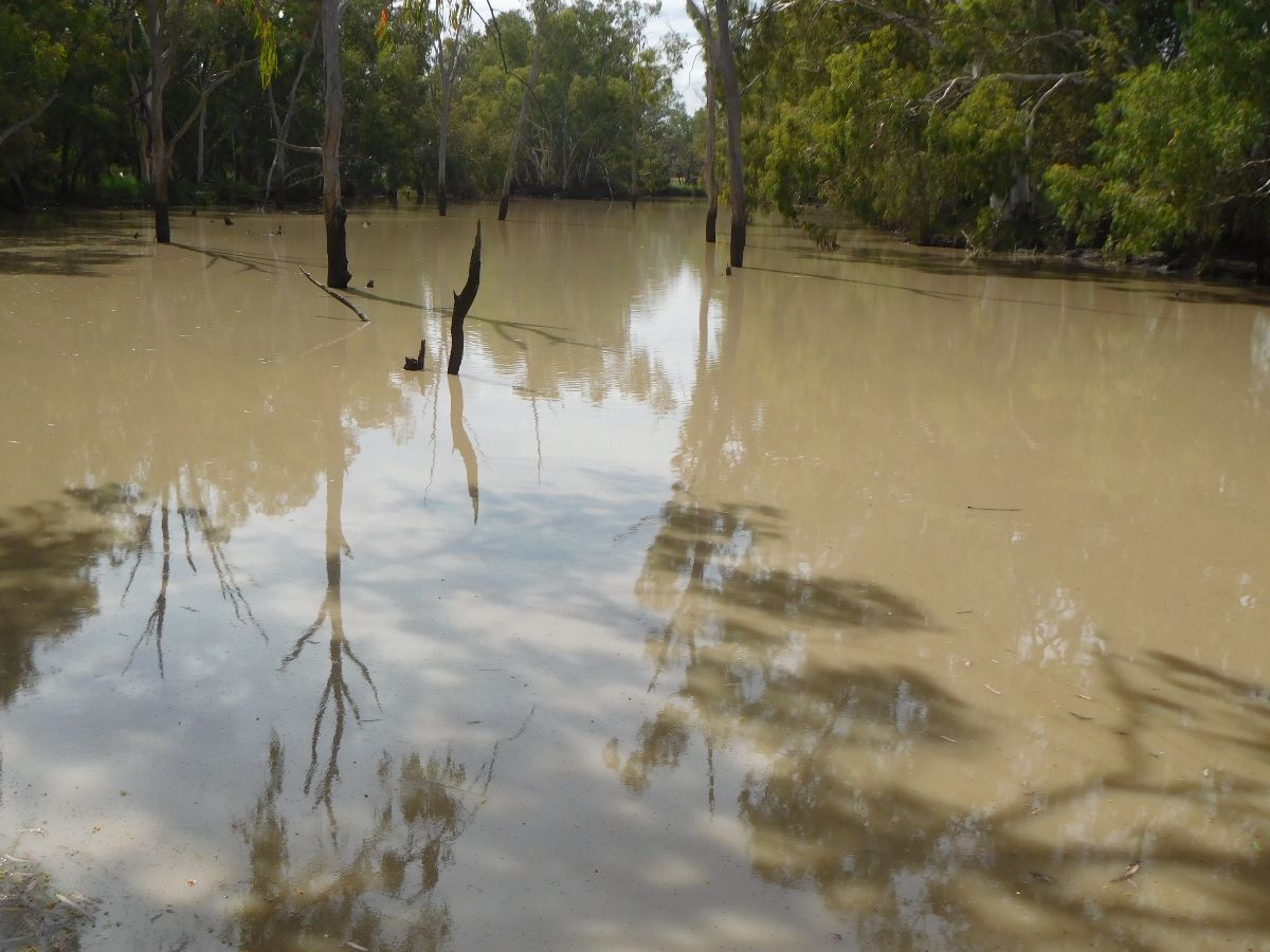On the Moonie River