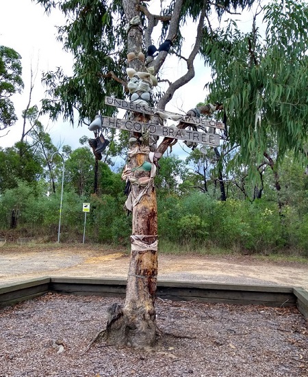 On our way home we stopped at the 'Bra Tree'