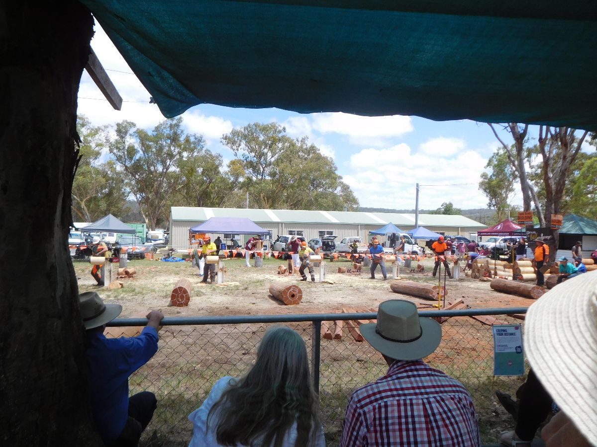 A day at the Stanthorpe Agricultural Show