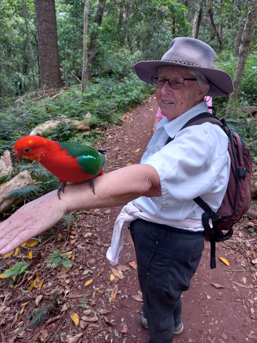 The Bunya Mountains