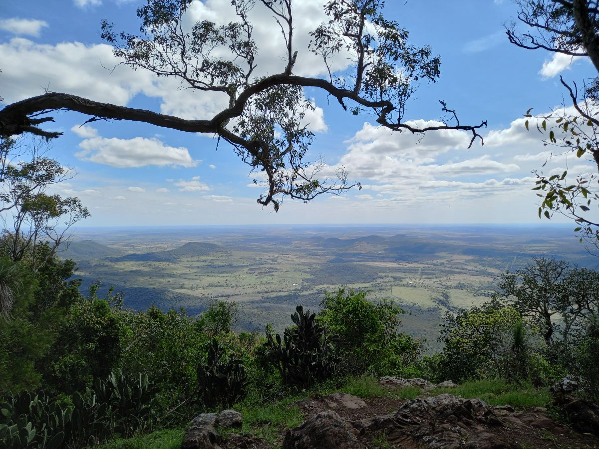 View from the top of the walk.