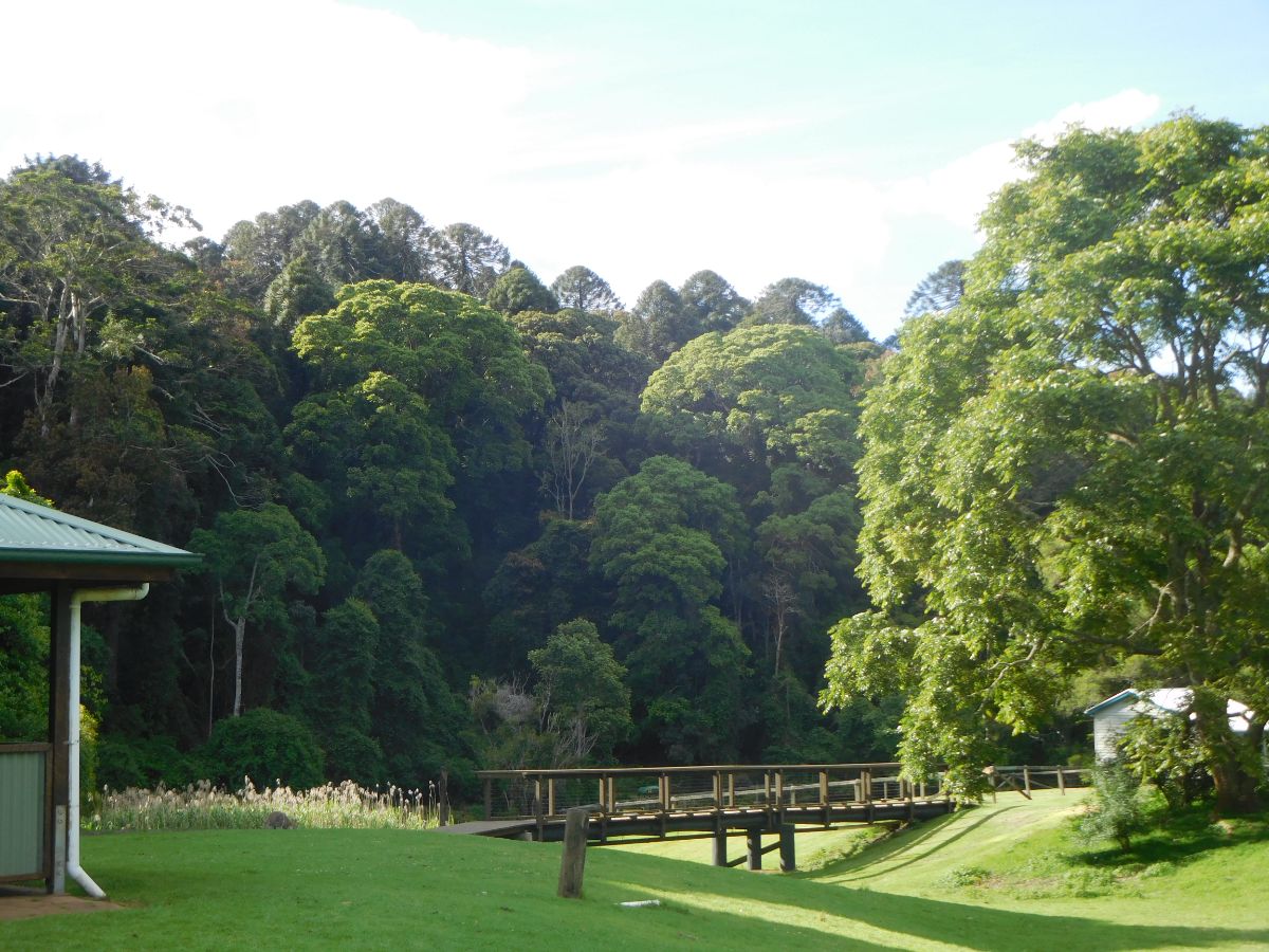 Camp site at Bunya Mountains