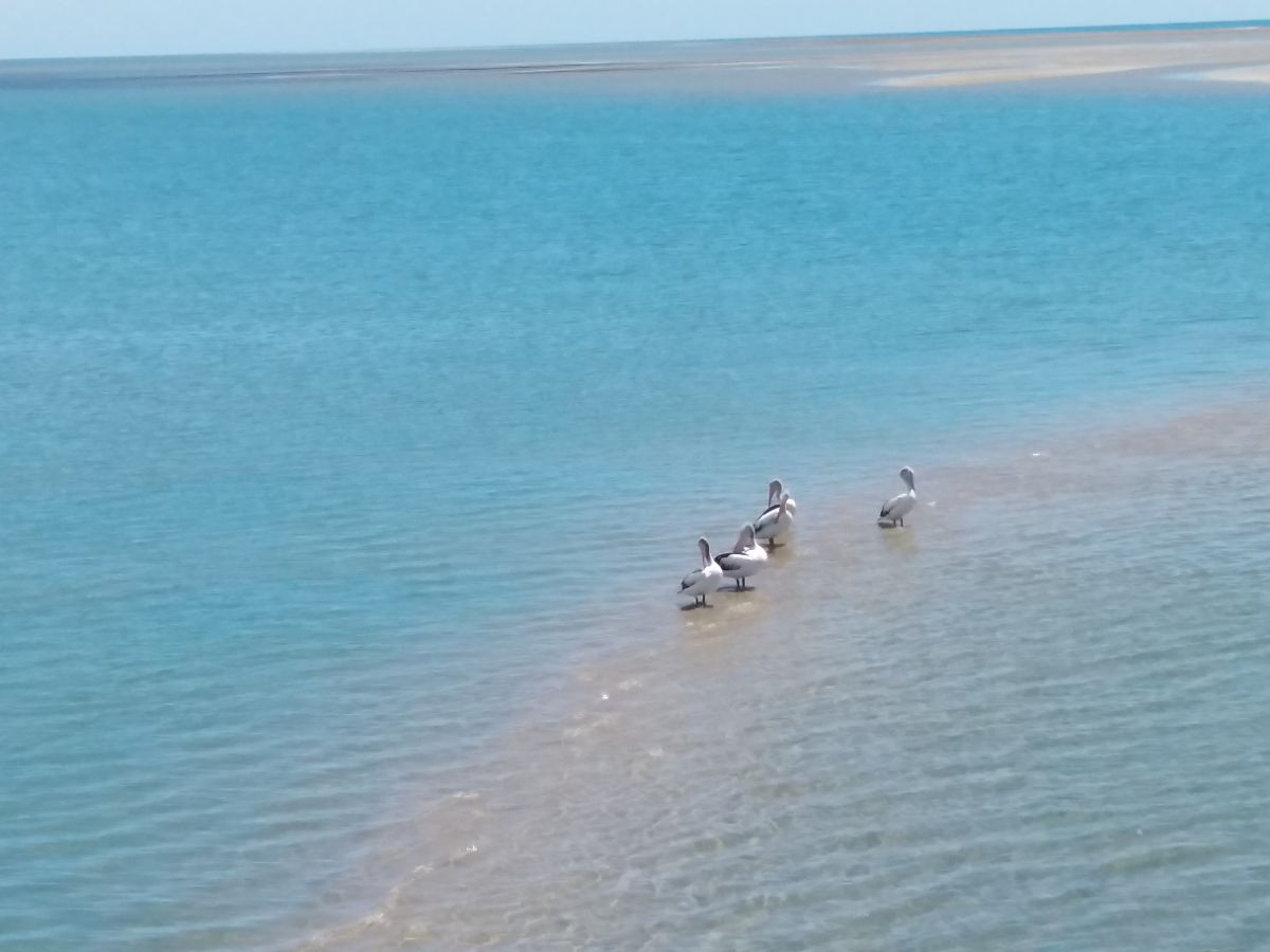 Burrum Heads (a few hours north)
