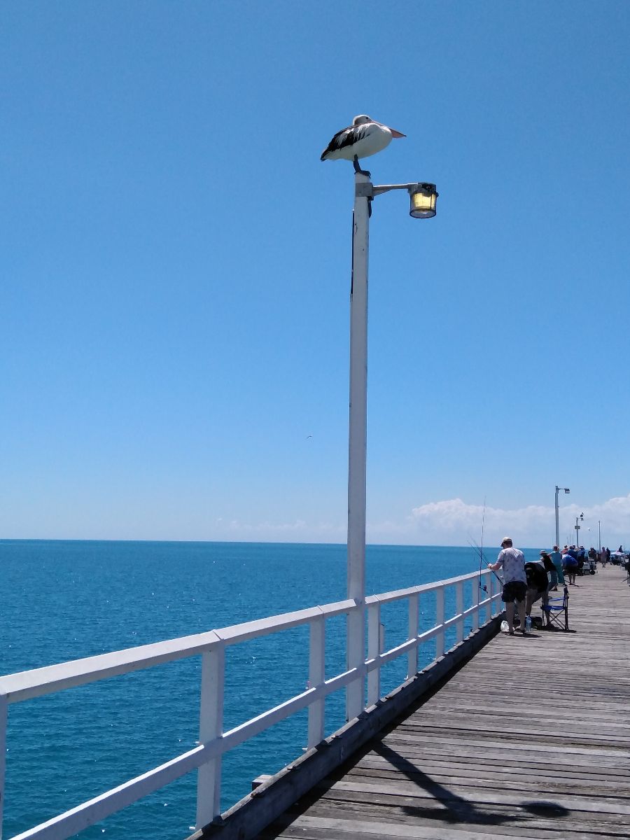 Burrum Heads (a few hours north)