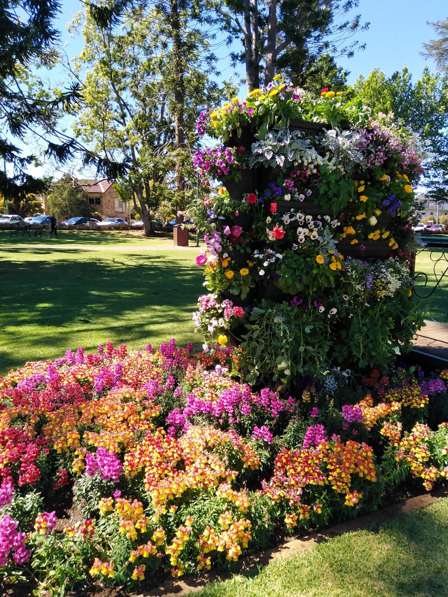 Toowoomba Carnival of Flowers
