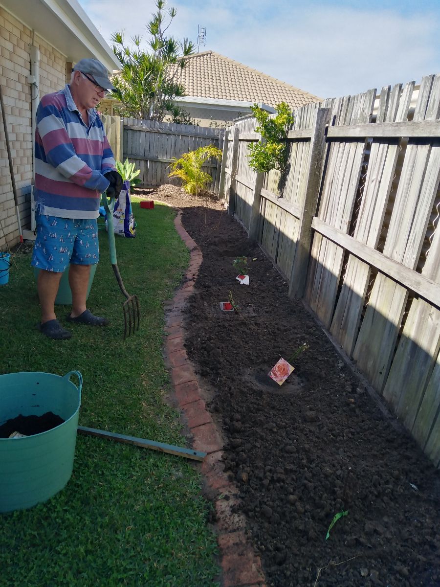 Planted along the back fence