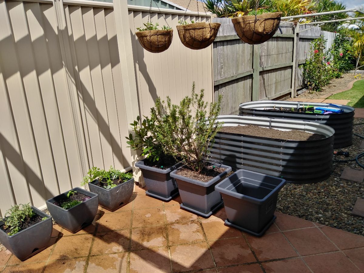 We moved the raised vege beds to the kitchen area