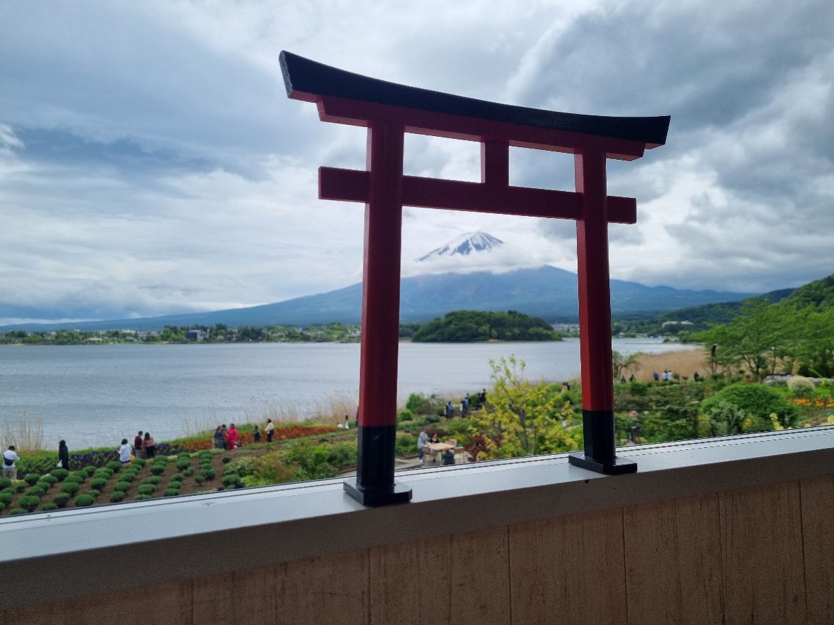 Our bus tour took us around the lakes