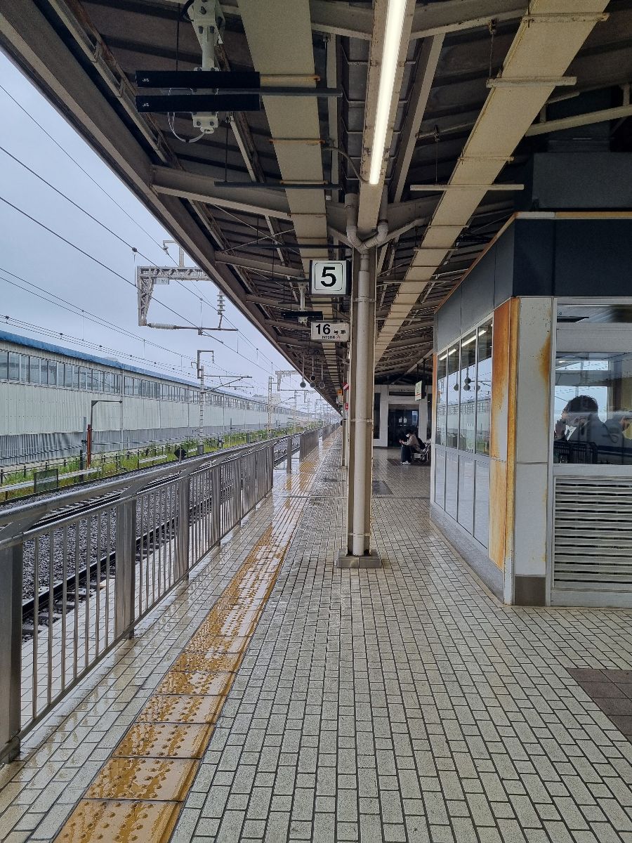 Train from Shin Fuji to Kyoto