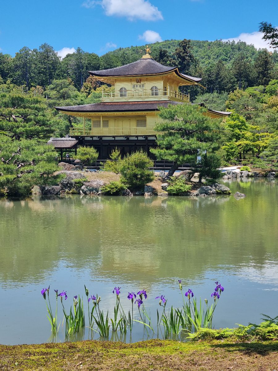 Kinkaku-ji Temple (the Golden Pavilion)