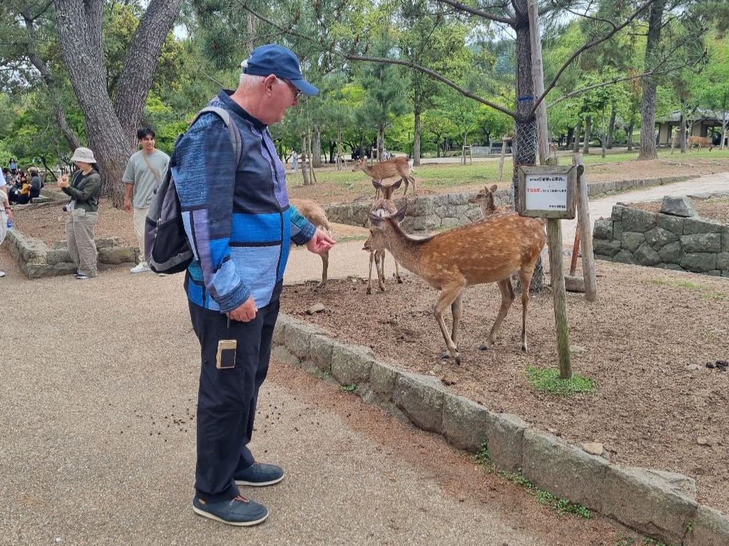 Nara Deer Park