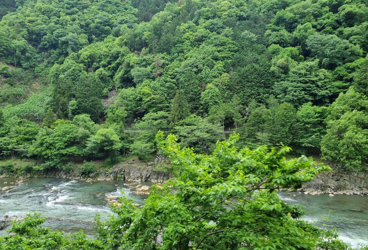 The Sagano Romantic Railway.
