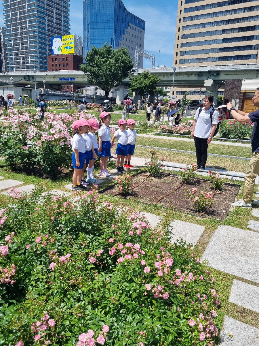 Walking through park in Osaka on way to our hotel...